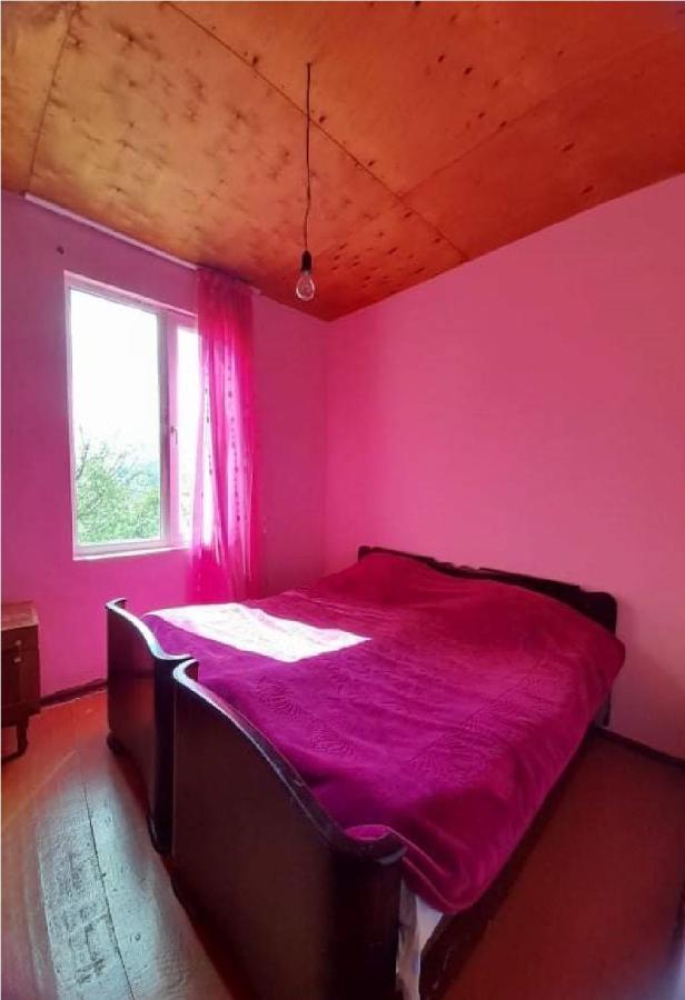 Guest House Malkhaz Niguriani Zhabeshi Exteriér fotografie