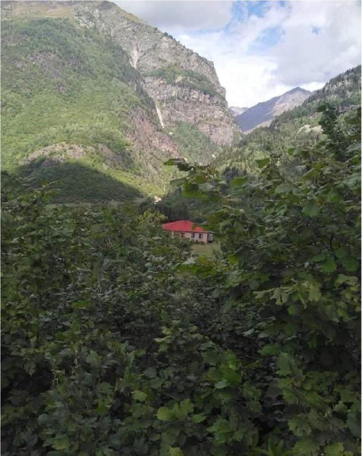 Guest House Malkhaz Niguriani Zhabeshi Exteriér fotografie