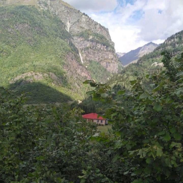 Guest House Malkhaz Niguriani Zhabeshi Exteriér fotografie